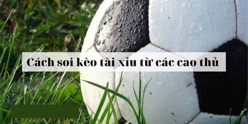 Kinh nghiệm cá độ online kèo Tài Xỉu hiệu quả